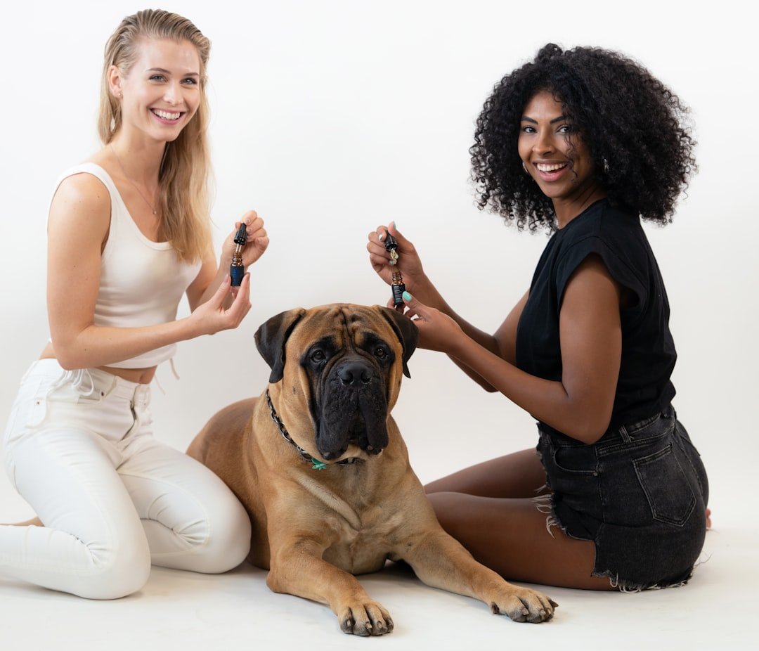 Mastering the First Impression: Your intriguing post title goes here deux-femmes-et-un-chien